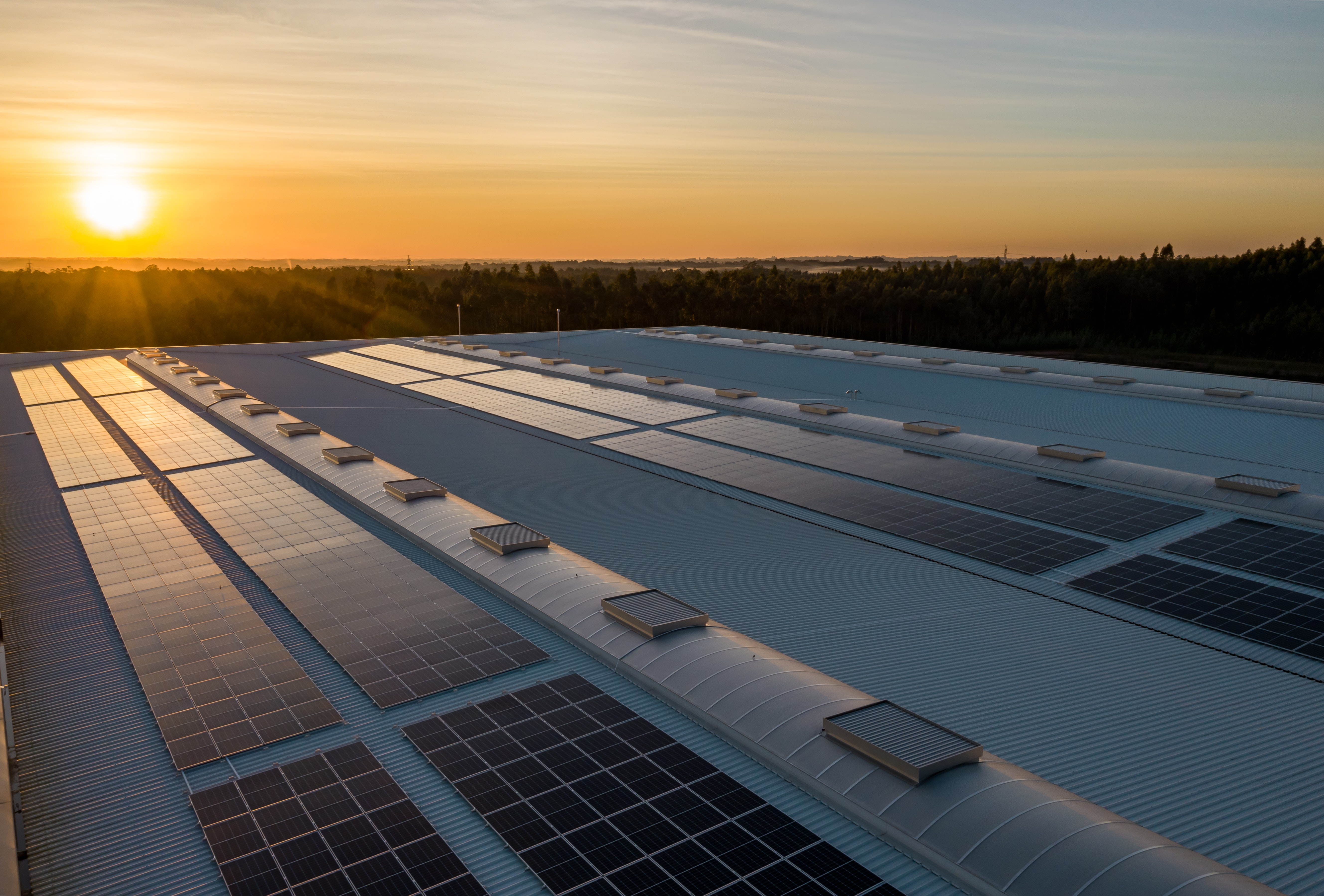 solarplant_unsplash1.jpg